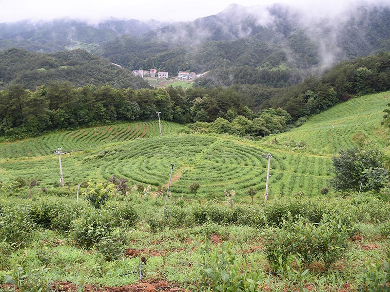 定陶基地照片-15