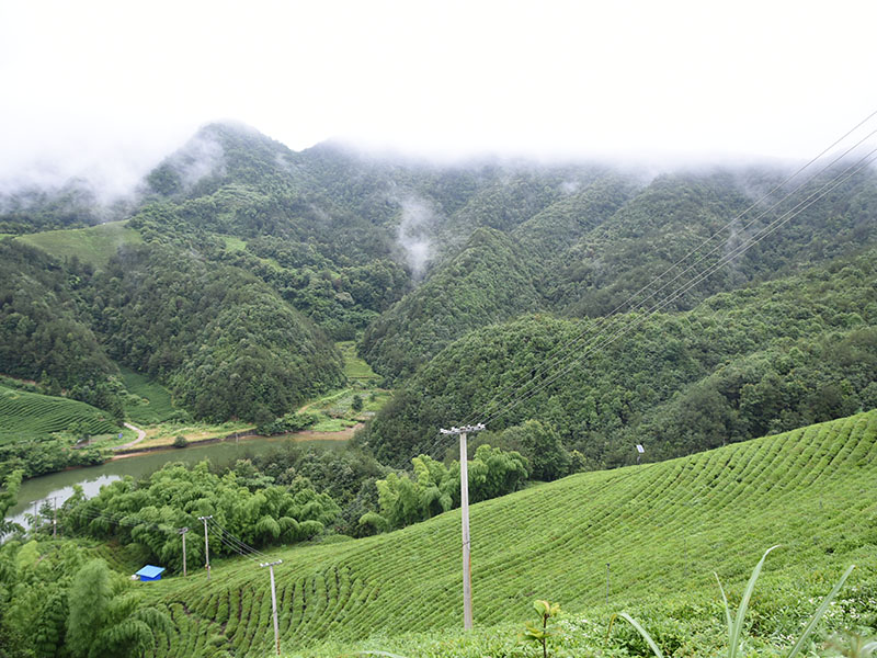 定陶基地照片-13