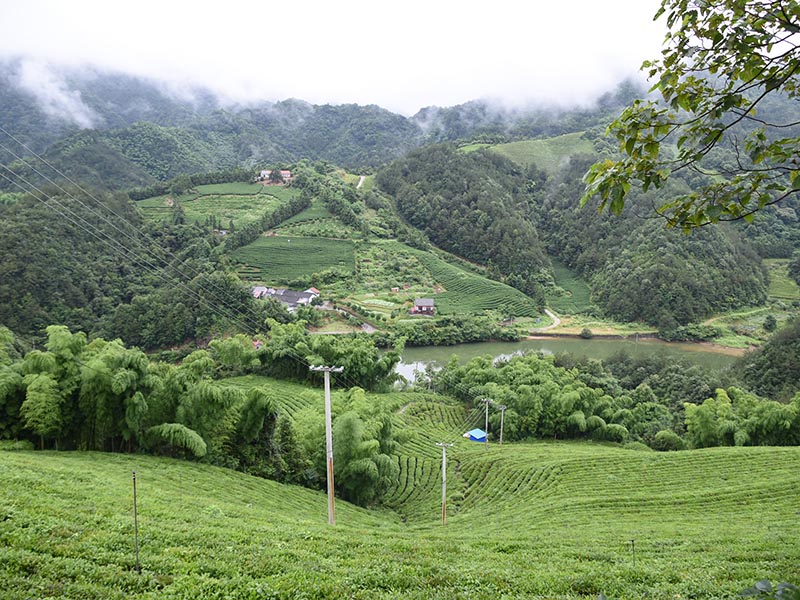 定陶基地照片-12