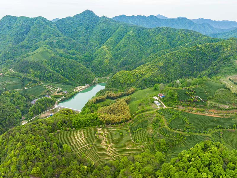 定陶基地照片-02
